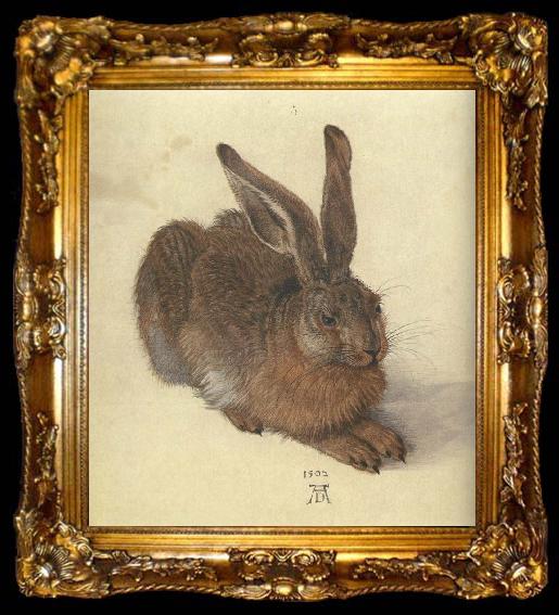 framed  Albrecht Durer A Young Hare, ta009-2